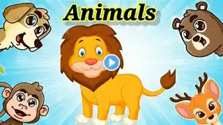 Animals Name,Animals Song, Animals for Kids, Preschool Learning Videos For 3 YearsOlds #animals #cat