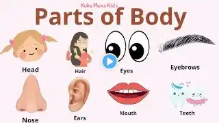 Body Parts with Pictures & Spelling .| Learn parts of body      for kids. Parts of the Body.