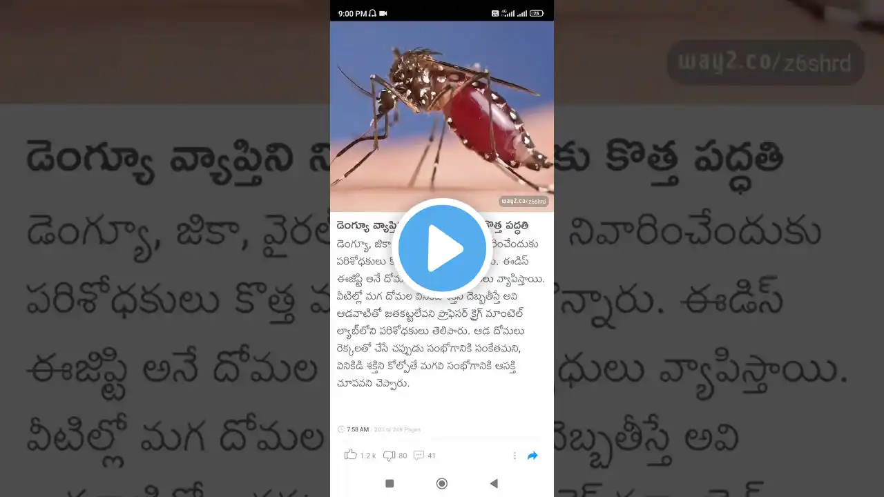 dengue mosquito #Shorts #Short #Viral #TeluguAUTOnews #Telugu #reels