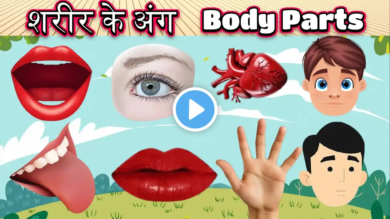 Body parts name for kids | BODY PARTS NAME ENGLISH & HINDI | शरीर के अंगों के नाम | Kids TUBE School