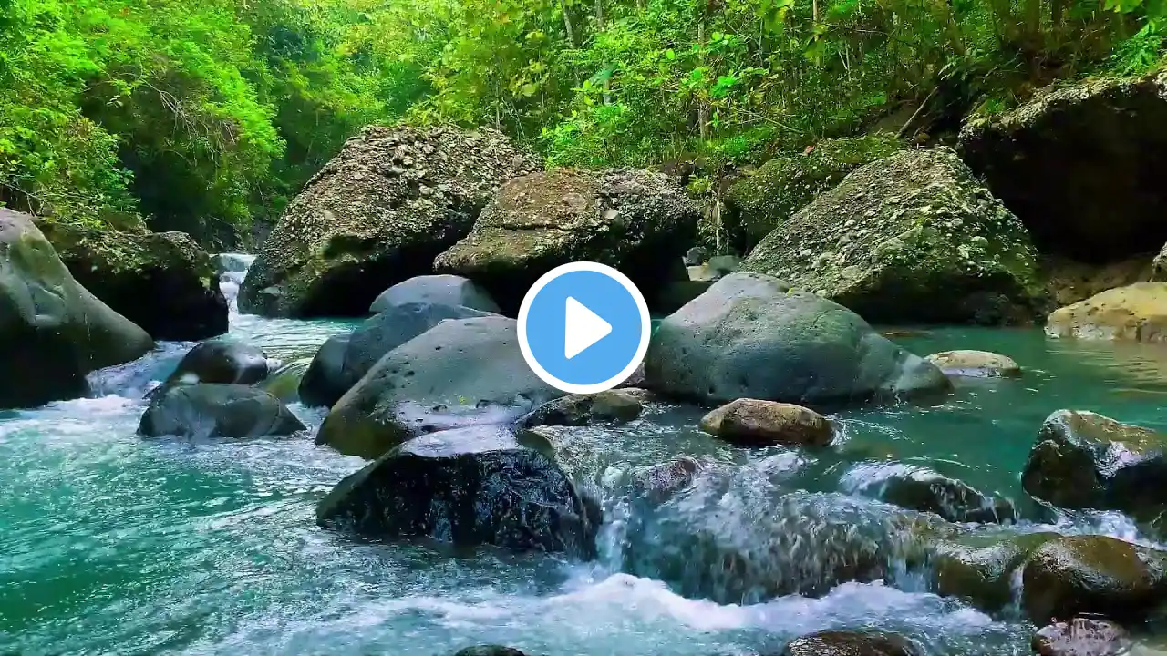Mountain River Waterfall Flowing 24/7. Water Sounds, Nature White Noise. River Sounds for Sleeping