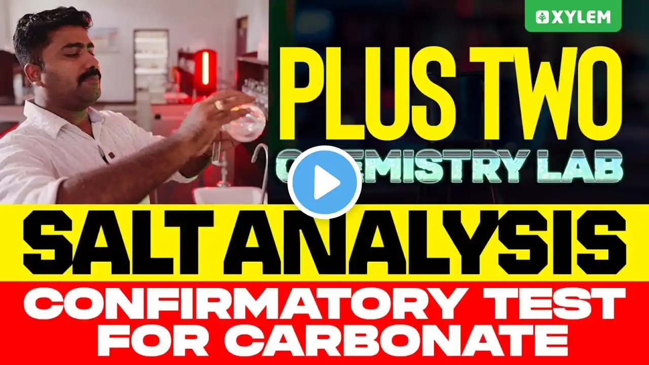 Plus Two Chemistry Lab | Salt Analysis - Confirmatory Test For Carbonate | Xylem Plus Two