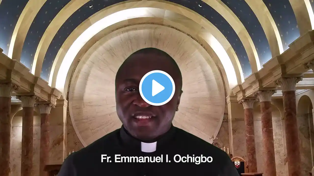 Homily for 16th Sunday in Ordinary Time Year A 2023 by Fr Emmanuel Ochigbo