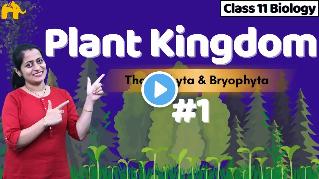 Plant Kingdom Class 11 Biology | NCERT Chapter 3 | CBSE | Kingdom Plantae  One Shot Complete Chapter