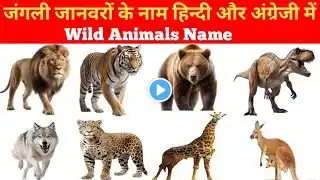 जंगली जानवरों के नाम हिन्दी और अंग्रेजी में // Wild Animals Name in English and Hindi