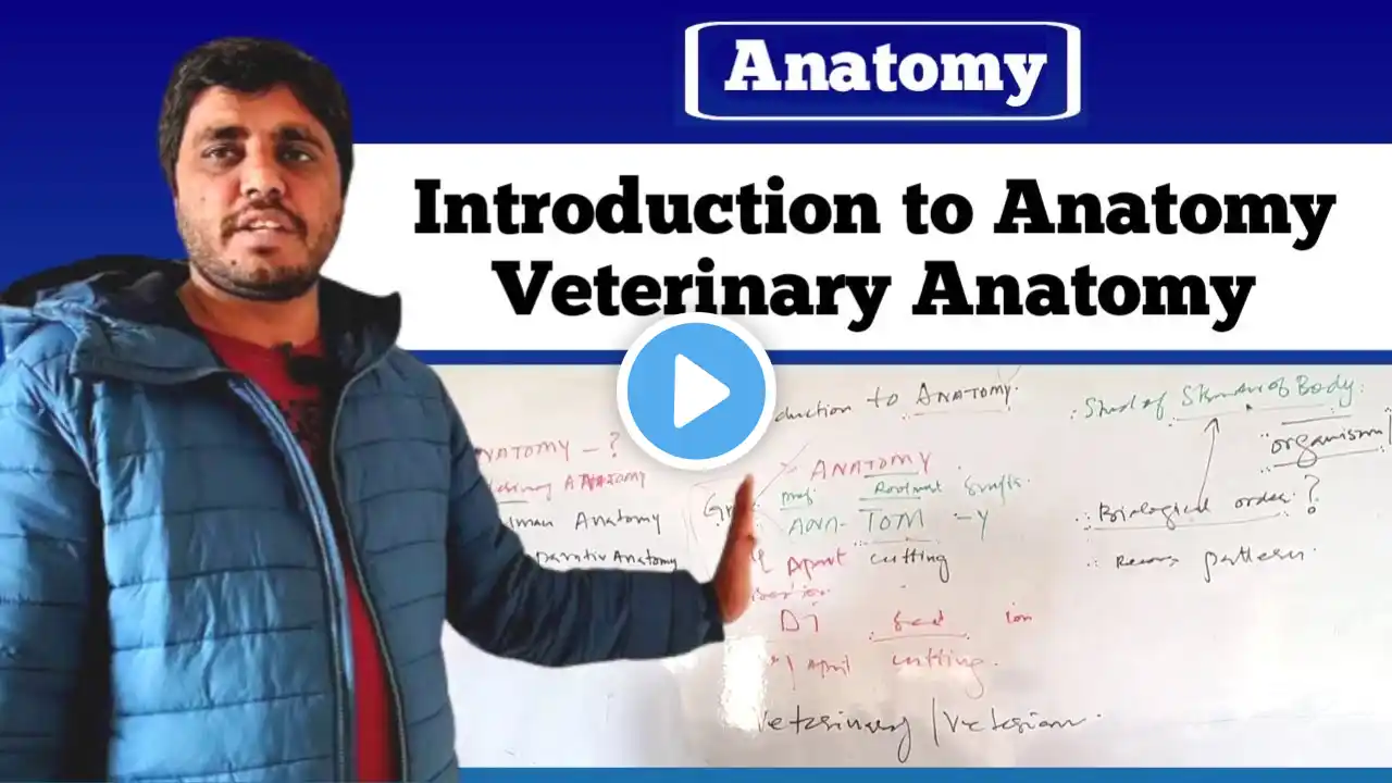 Introduction to Anatomy | Veterinary Anatomy