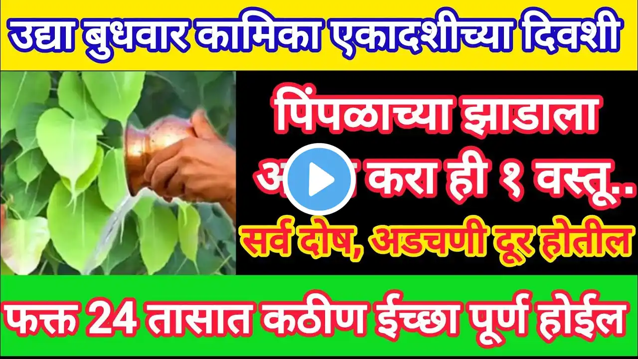 उद्या #कामिकाएकादशी पिंपळाच्या झाडाला अर्पण करा ही १ वस्तू, सात पिढ्यांचे दारिद्र्य नष्ट होईल.