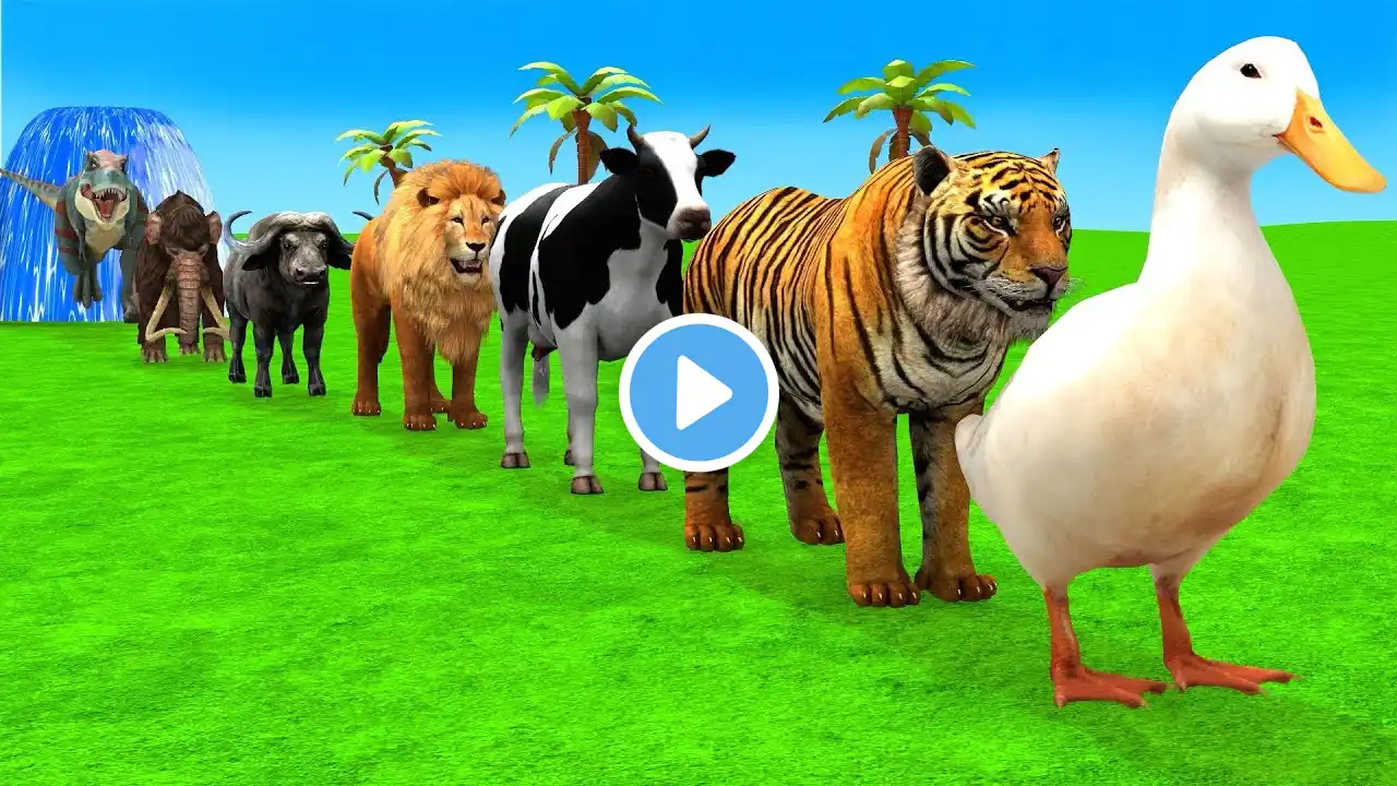 Long Slide Game With Elephant Gorilla Buffalo Hippopotamus Tiger 3d Animal Game Funny 3d Animals