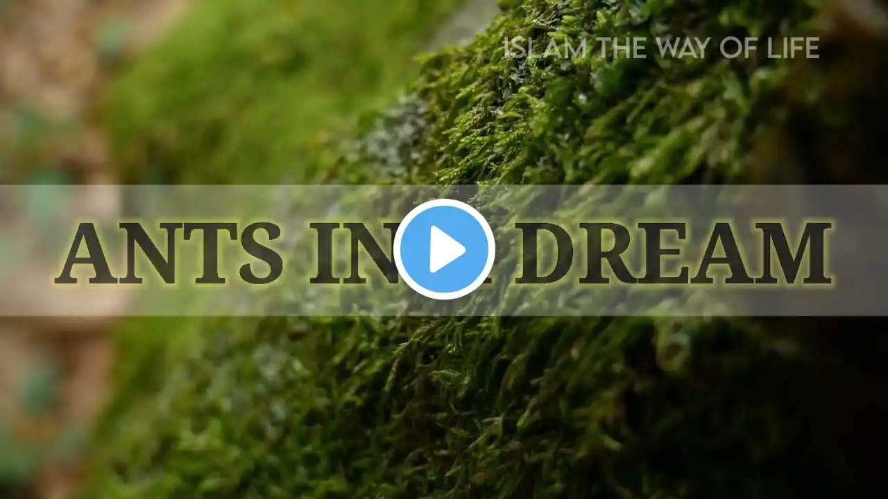 Seeing Ants In A DREAM : What does it Mean || Islamic Interpretation of dreams