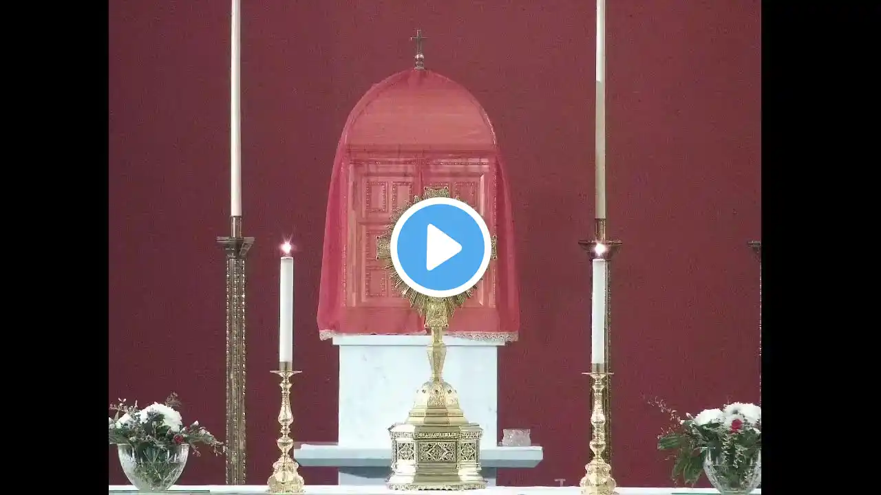 Holy Hour of Eucharistic Adoration, Thu 24 Nov 2022, 7-8pm