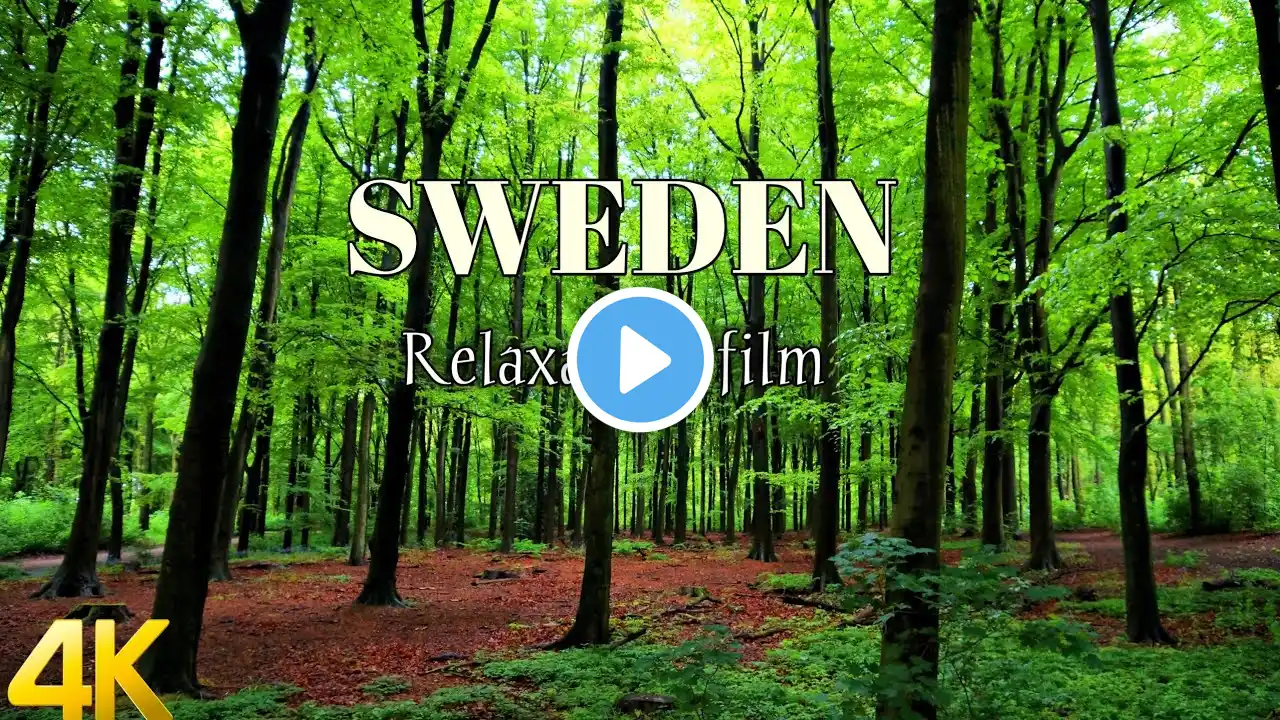 wonder of sweden 4K ultra HD|dolby vision music|Relaxation film 60fps