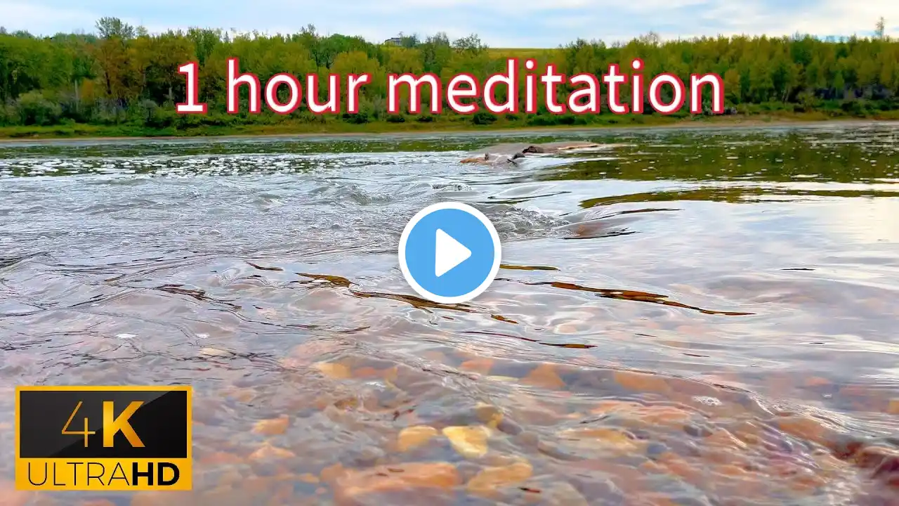 Meditation: 1 Hour Relaxation Sounds of Nature River Water Whirlpools Birdsong Sleep Spa Yoga (4K)