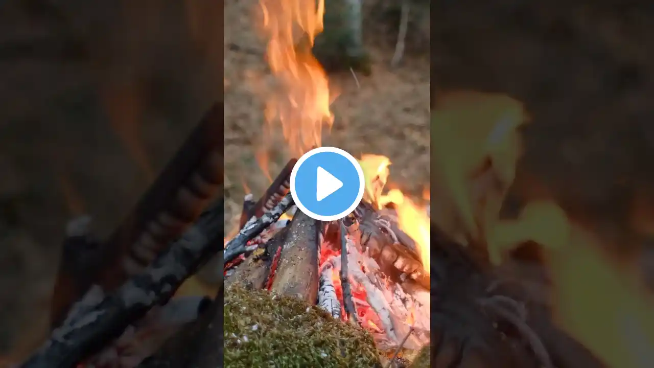 4K UHD & Real Campfire and Natural Relaxation Soothing Sounds & Birds Singing  #campfiremagic #relax