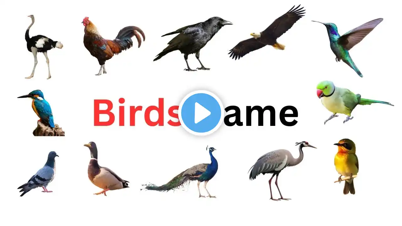 Birds Name for kids, 20 birds name, birds name with spellings, pictures #childslearning