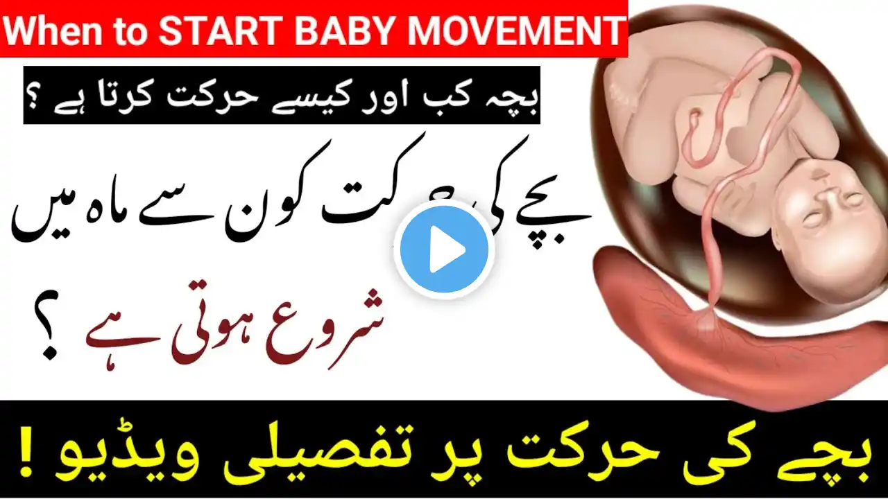 bache ki harkat kaun se mahine mein hoti hai | baby movement kab start hoti hai #pregno