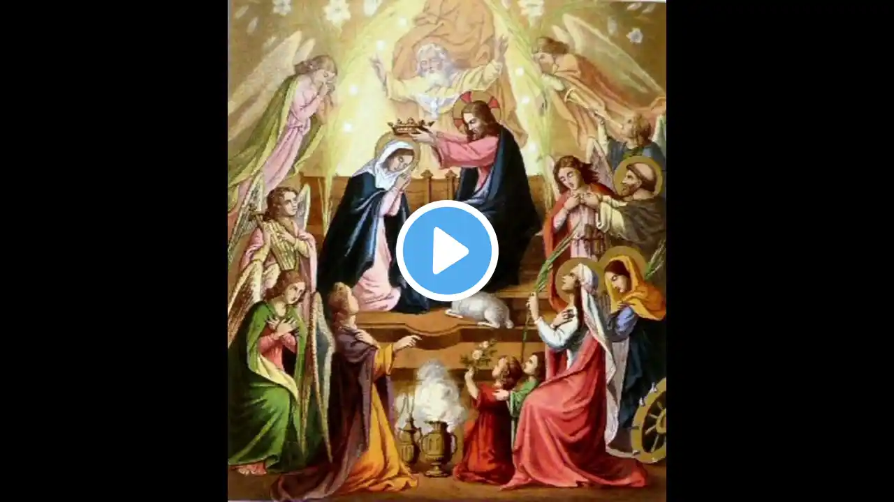 Sermon Father Blaszak 25th Sunday After Pentecost Delaware Nov. 10th, 2024