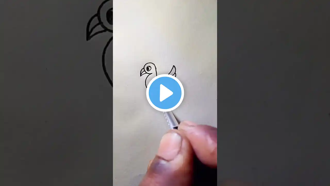 Simple Bird Drawing with letter k #shorts #drawing #youtubeshorts