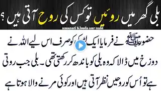 Billi Ghar main roye to roheen atihen? | Islamic Story | Cat Story #urdumoralstories