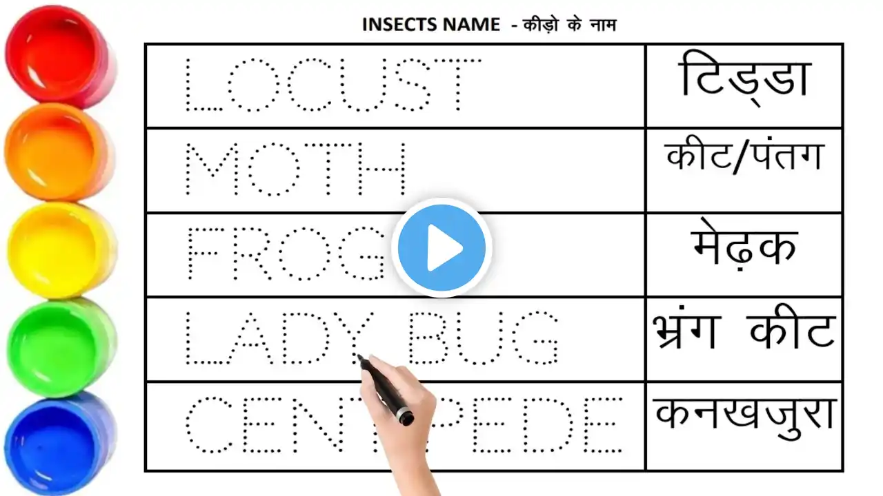 कीड़े मकोड़ों के नाम || Insects name || Insects name in english and hindi ||