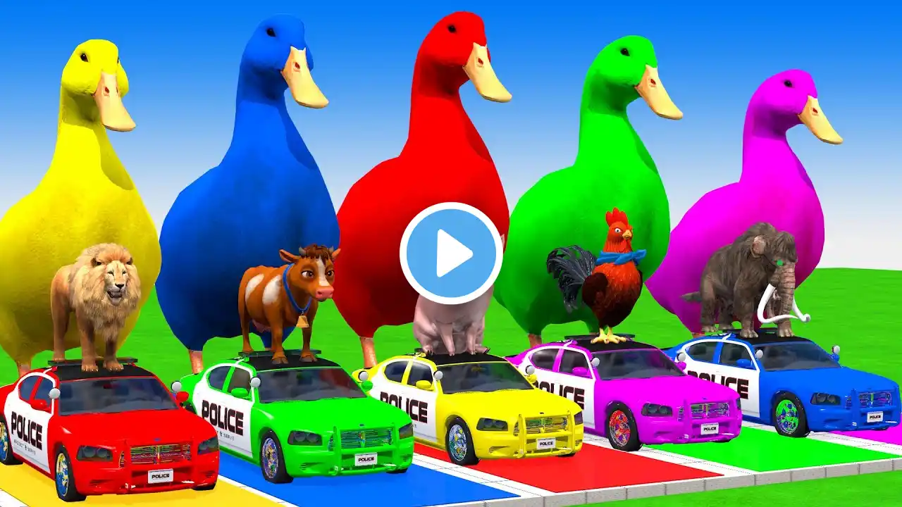 Paint & Animals Cow,Antelope,Chicken,Sheep,Tiger Fountain Crossing Transformation Animal Cartoon