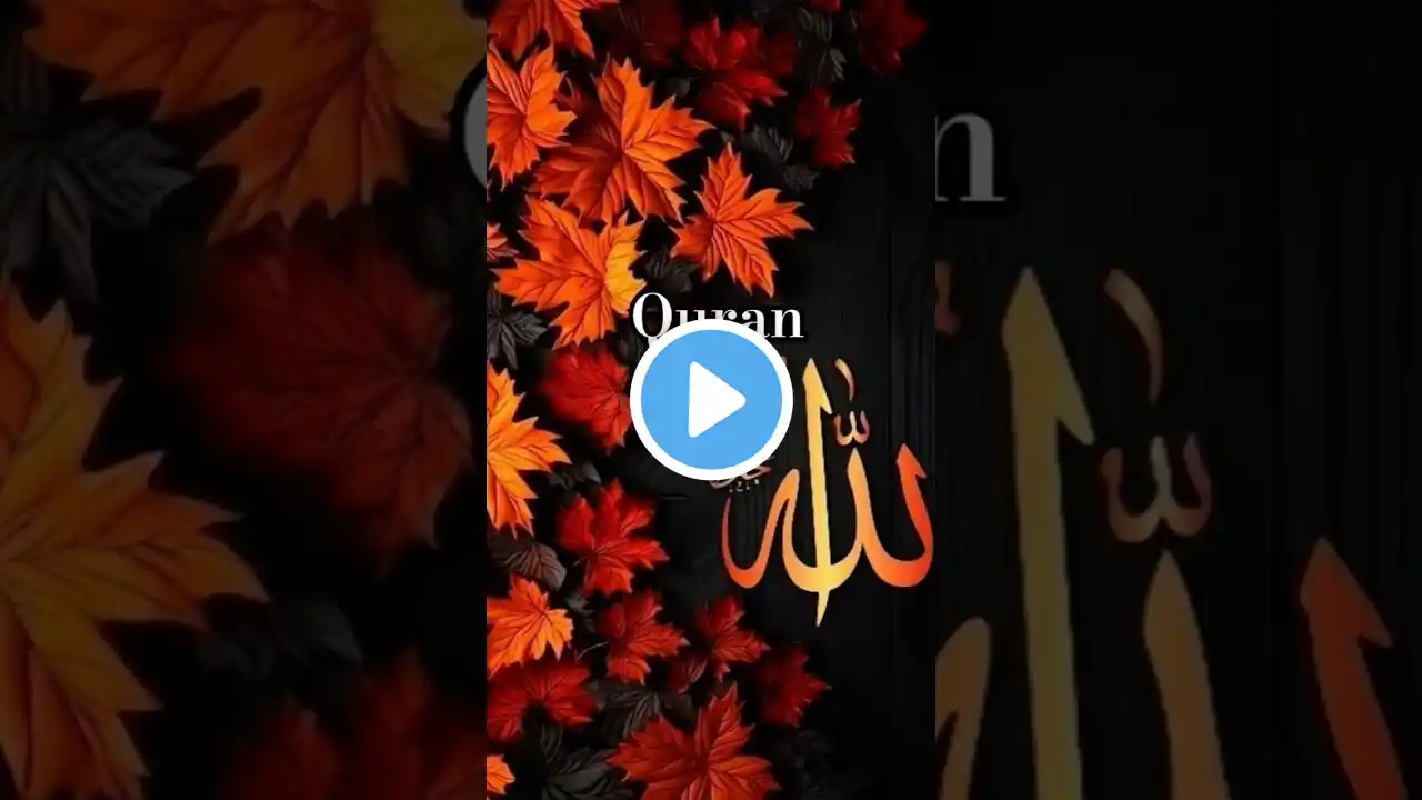 Quran π― #shortvideo #viralvideo #urdutranslation #shorts