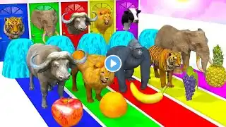 Choose the right key for gorilla  mammoth elephant lion tiger cow | Animal Crossing Fountian #animal