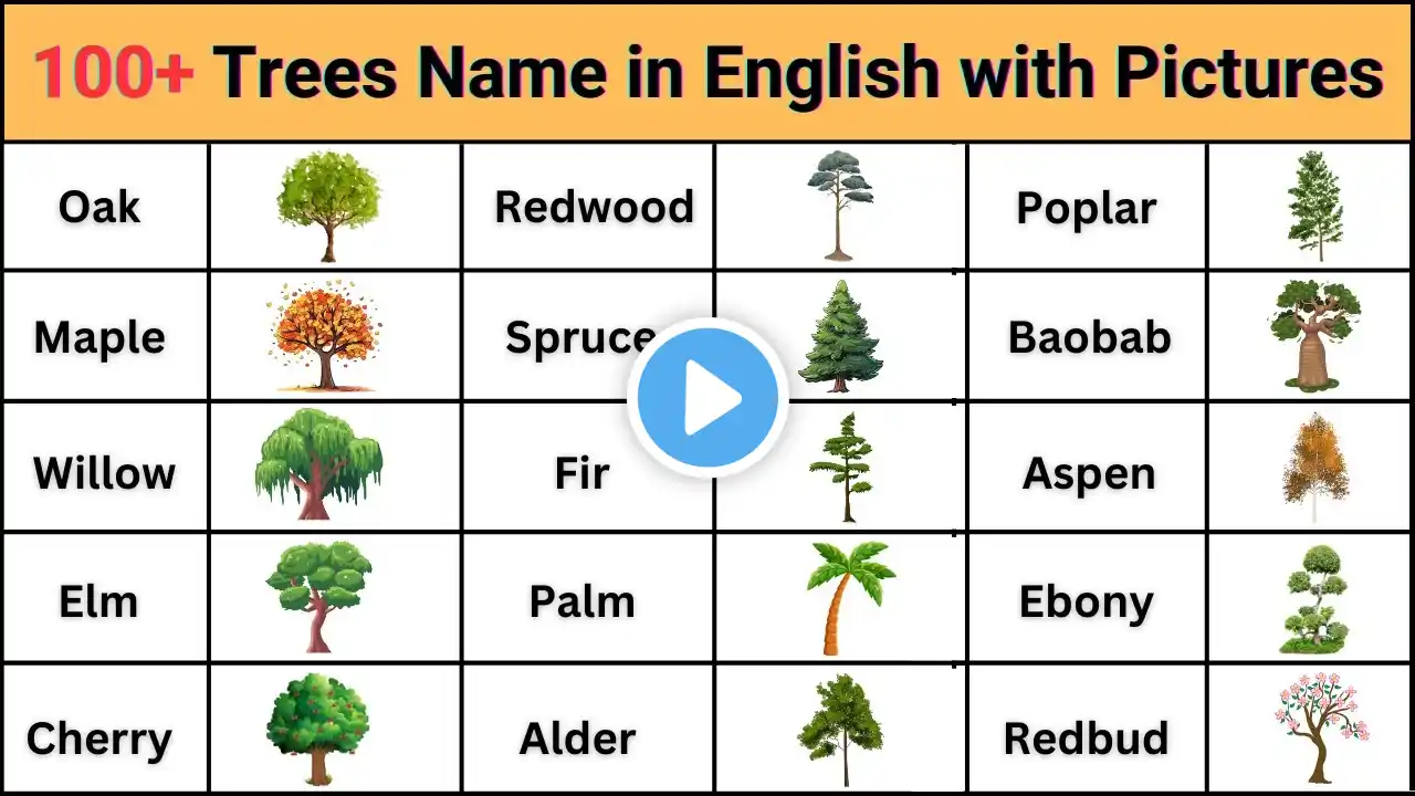 🌳🌲 100+ Trees Name in English with Pictures | Trees Scientific Names in English