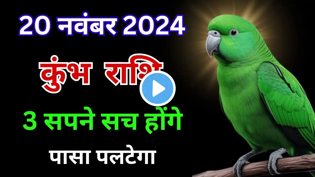 कुंभ राशि: 20 नवंबर को आपके 3 सपने होंगे पूरे, जानिए कैसे? Kumbh Rashi 20 November 2024 | Aquarius