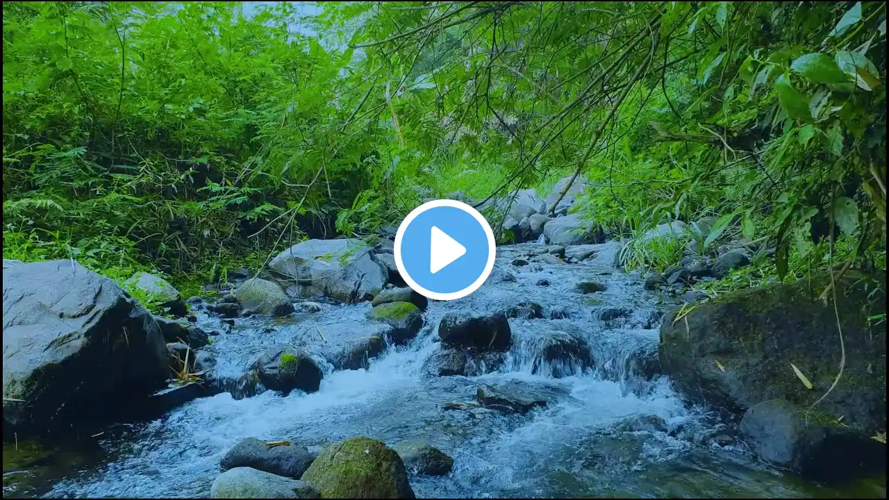 Drift Away with Serene River Sounds: Perfect for Deep Sleep