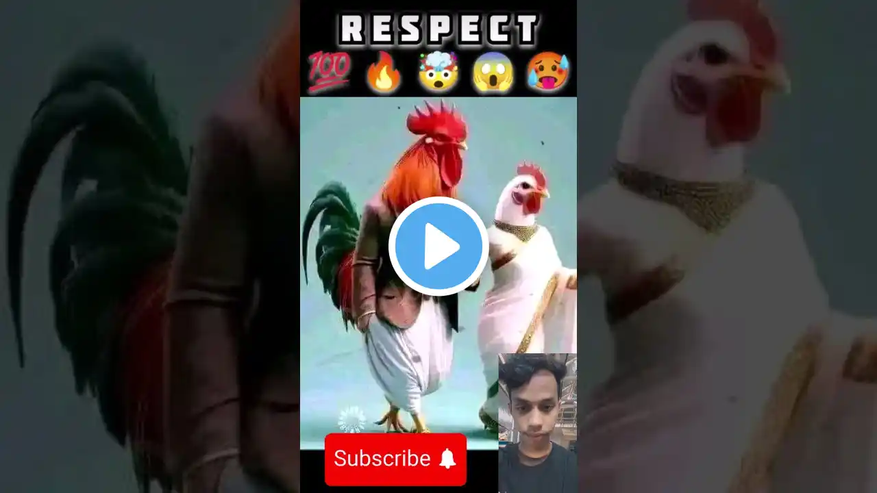 Cute Rooster Cupel Respect video🔥😱💯 Respect | Respect Shorts #shorts #respect #shortvideo