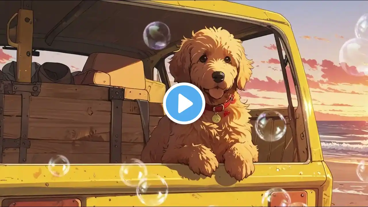 Lofi Goldendoodle - Chill Lofi Beats + Adorable Dogs | Relax, Study & Unwind with Cute Pups 🐶🎶