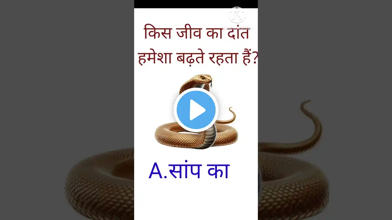 general knowledge question||Gk IN english #gk #gkquestions #facts #gkinhindi