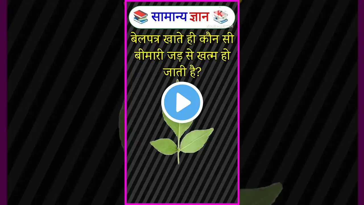 Ssc gk | Top 30 gk questions 🤔📚 | Gk in hindi | Gk Quiz | #gk #gkfacts #gkquiz #gkhindi #svgkstudy