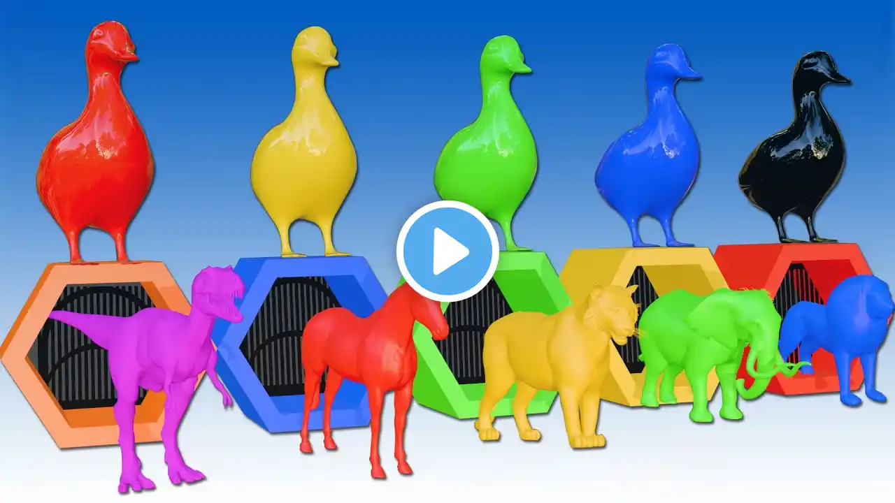 Paint Animals l Mammoths ans Elephants l Fountain crossing Animal Game Transformation l Zebras