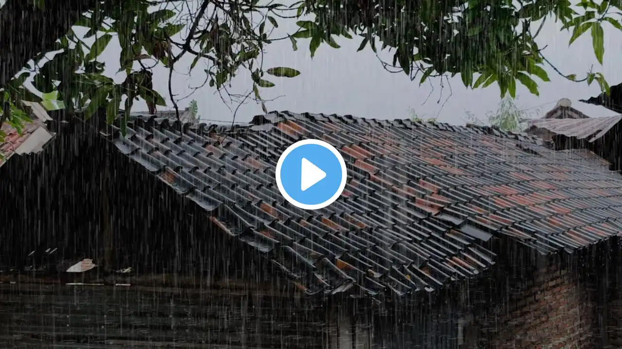 The sound of heavy rain in the countryside creates a comfortable atmosphere