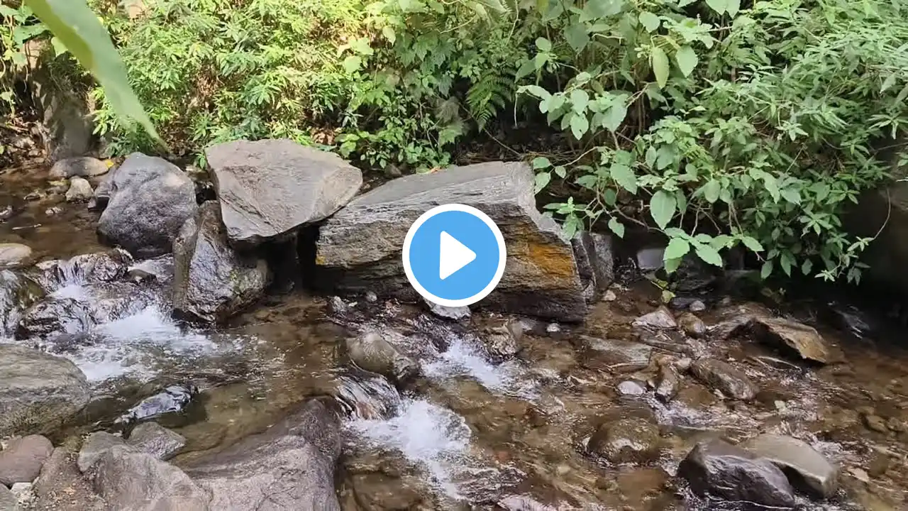 Relaxing River Sounds with Bird Chirping for Stress Relief & Deep Sleep