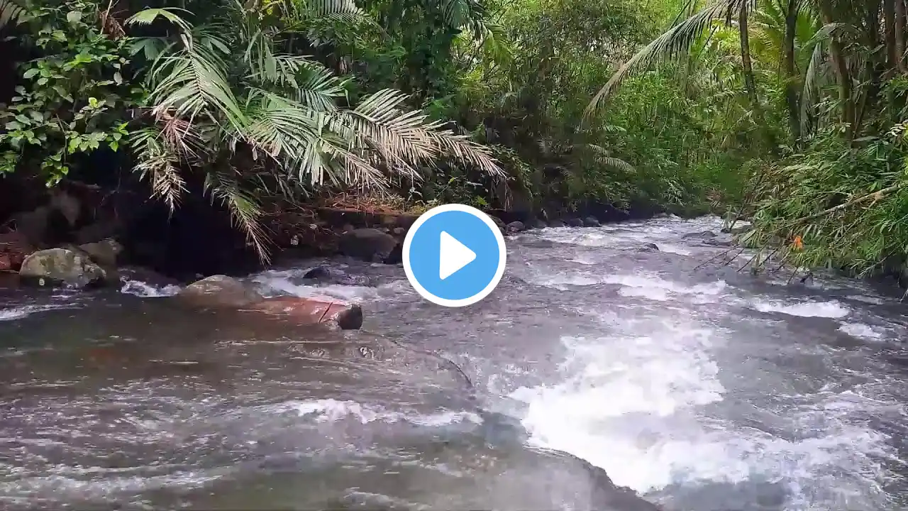 Tranquil Water Ambience for Focus and Healing Relaxing River Flow for Study for Healing