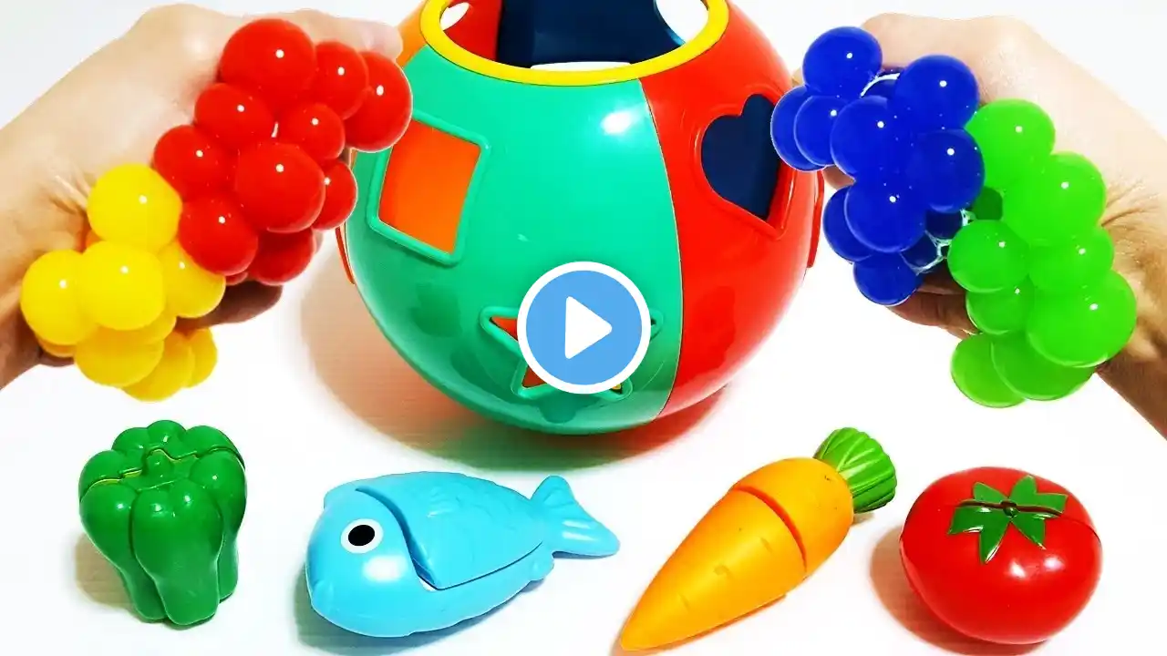 Pounding Learning Toys Learn Colors with Squishy Mesh Balls For Toys