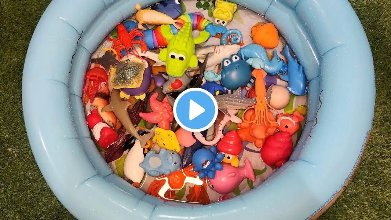 Learn Sea animal Names and Facts with Fun toys|Sea animal toys video for toddlers