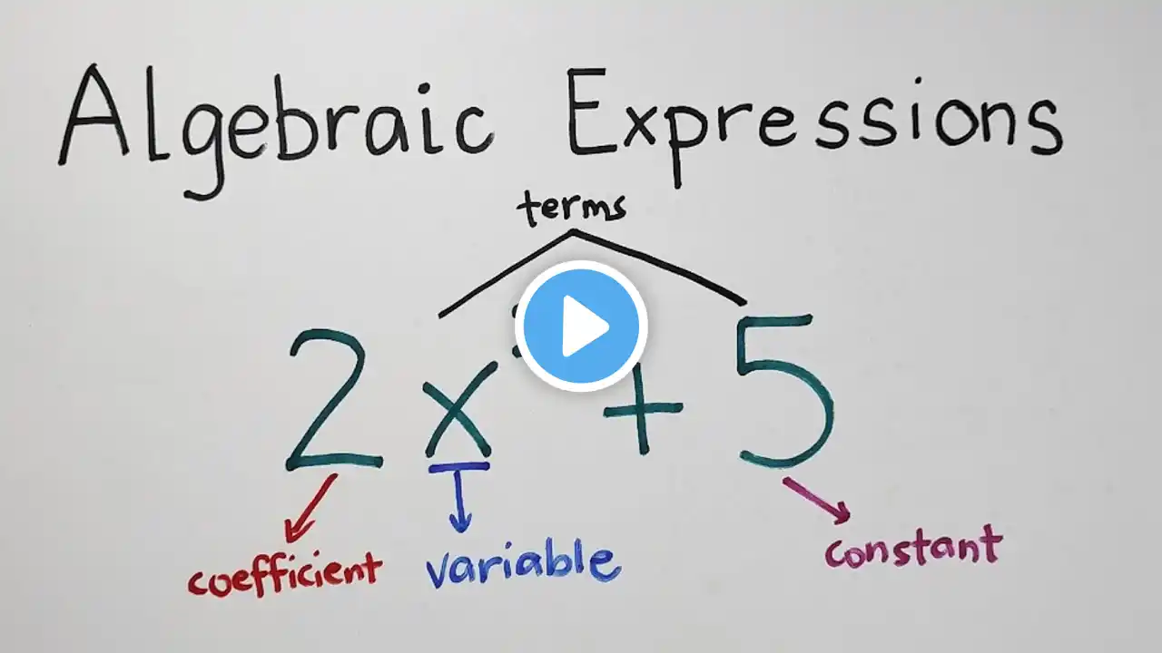 Algebraic Expression - Terms, Variables, Degree of Polynomials - Grade 7 Math Second Quarter