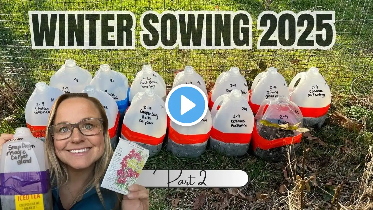 Winter Sowing 2025: Planting the Seeds! Part 2 | The Southern Daisy