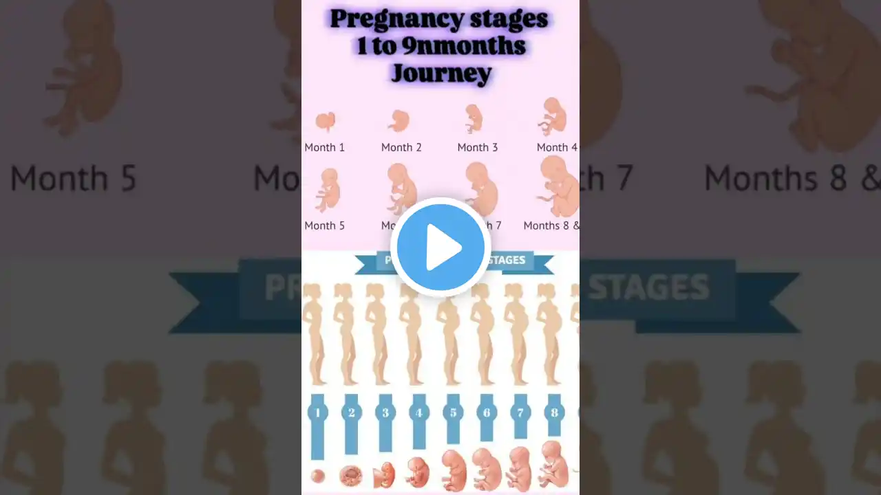 Pregnancy stages 0 to 9 months #baby #weekspregnant #motherwomb #babydevelopment #pregnancytimeline