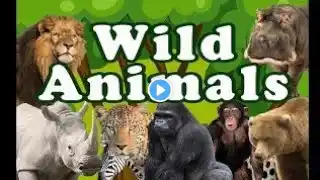 Wild animals names || जंगली जानवरों के नाम || Wild Animals Name in english hindi