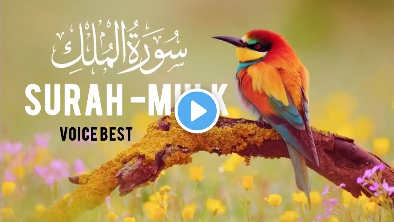 Surah Al Mulk سورة الملك | This Wonderful Voice Will Touch Your Heart إن شاء الله