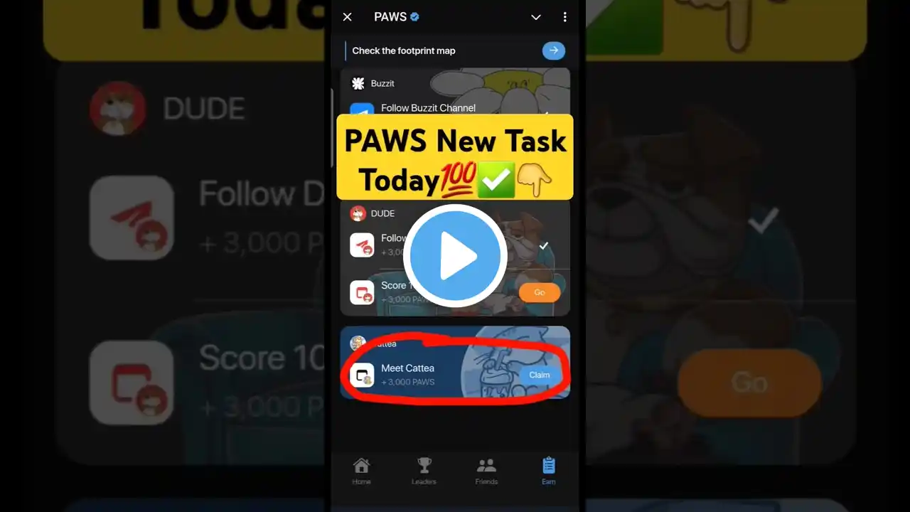 PAWS New Task | Paws New Update | Paws New Task Today | Paws mystery quest today #pawsmysterytask