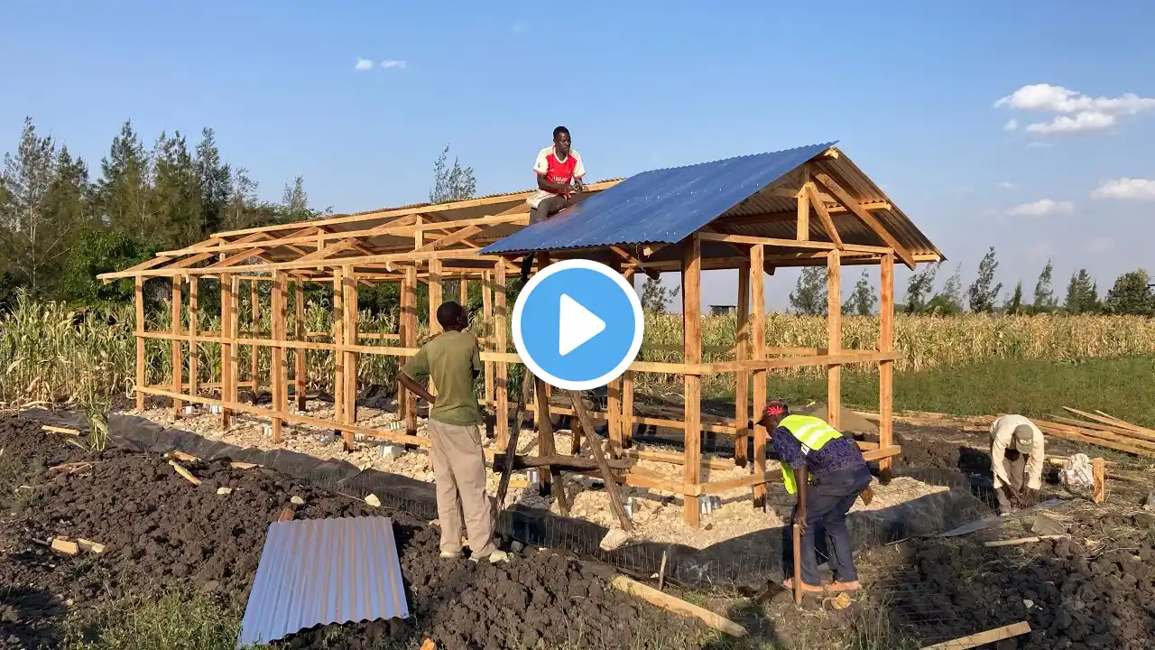 How to build a Honey Bee bungalow Apiary : Step-by-Step Guide