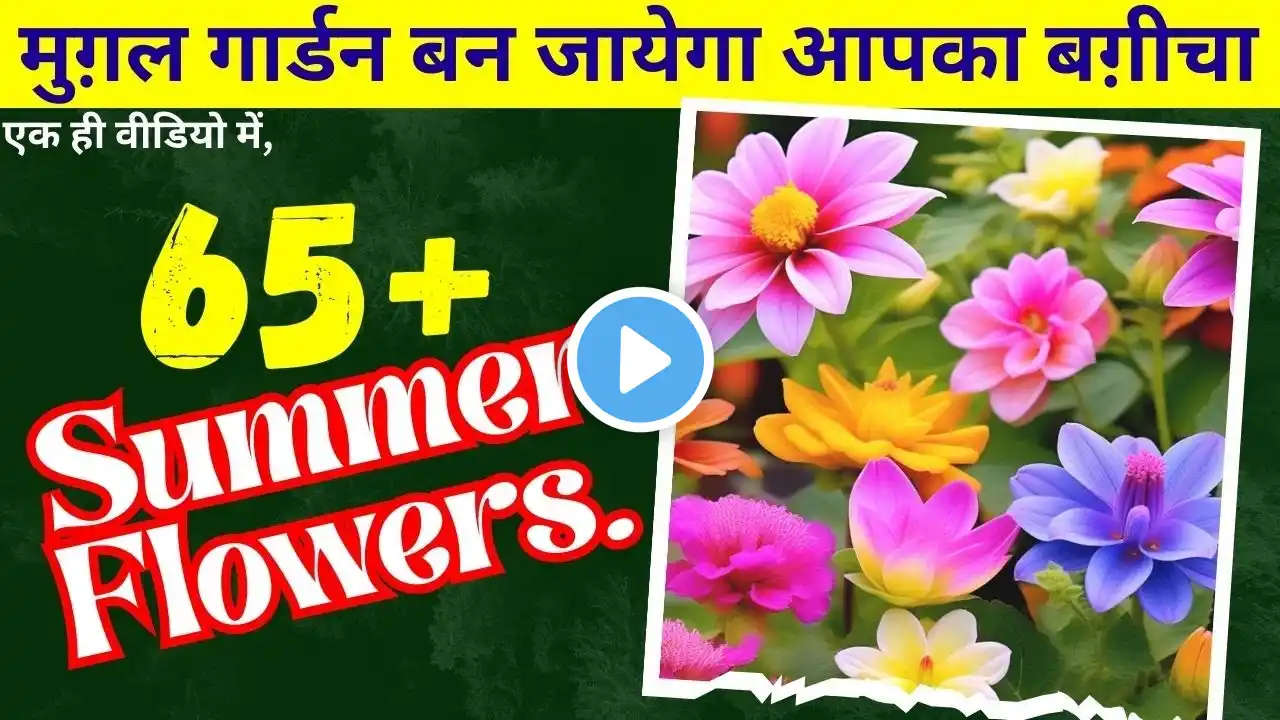 Indian Summer Flowering Plants Extend Your Garden's Glory: 65 गर्मियों के फूल