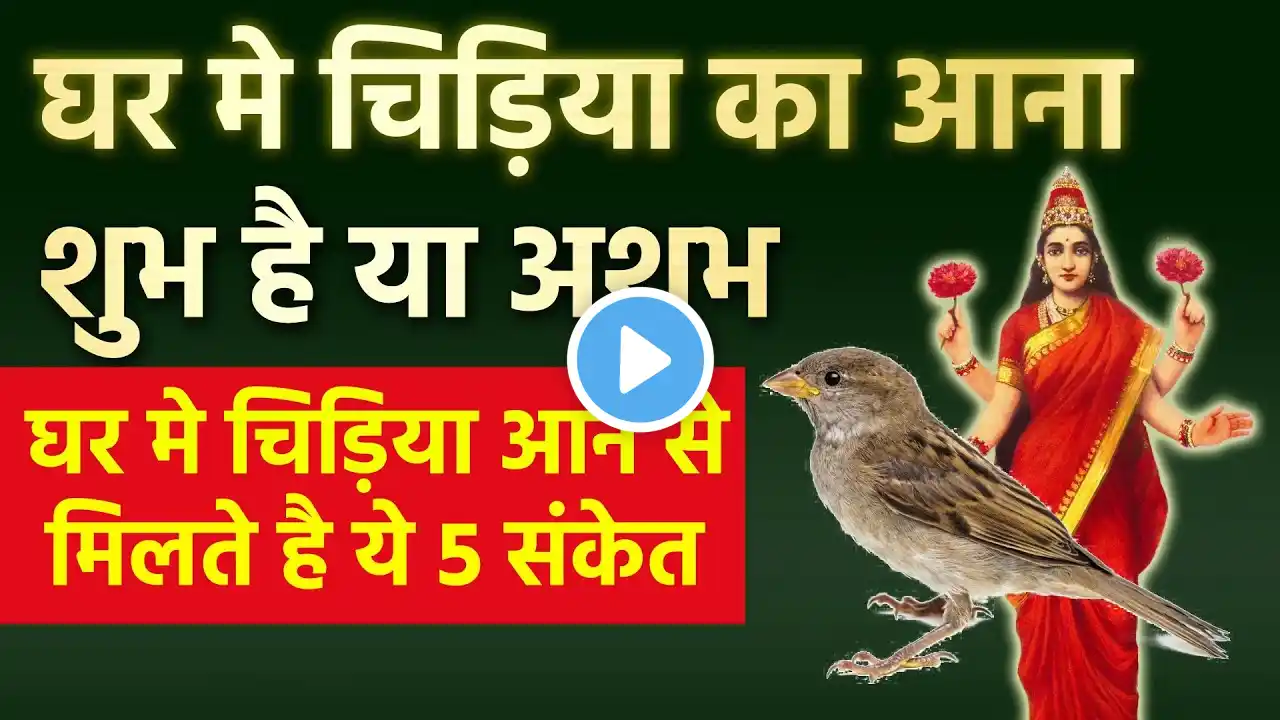 घर मे चिड़िया का आना शुभ या अशुभ, चिड़िया घर मे आने से मिलते है 5 संकेत  | Vastu tips