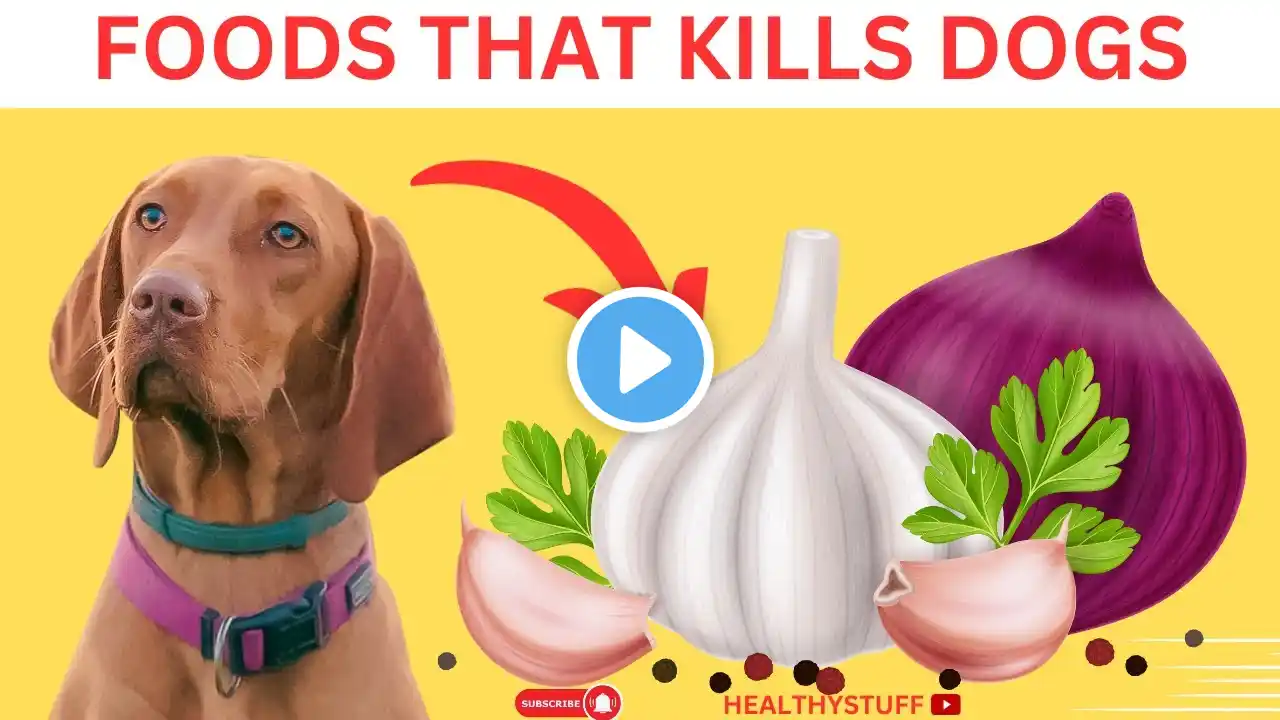 9 FOODS THAT WILL KILL YOUR DOG