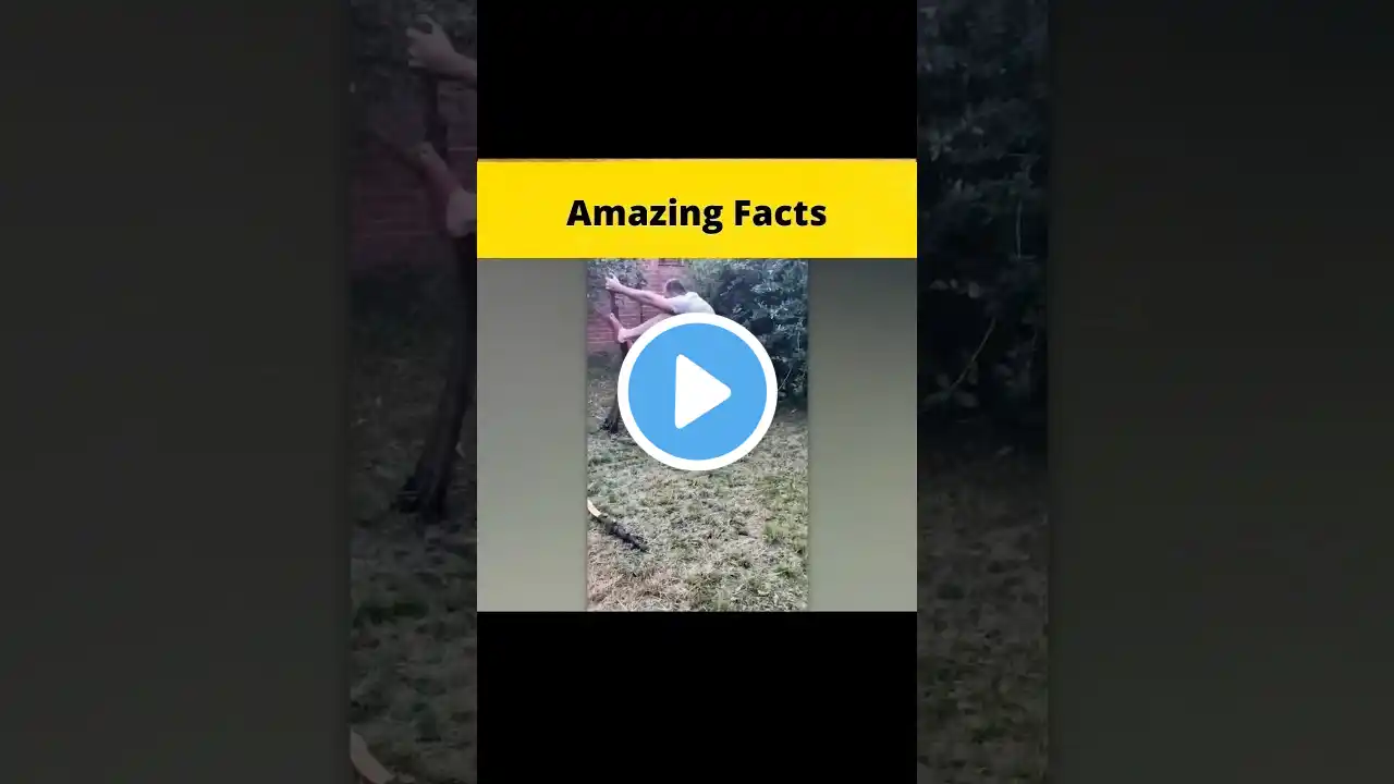 TOP 3 FUNNY LOG 😂😂 #factbeast #story #animation #amazingfacts #motivation #amazingfact #fact #factsi